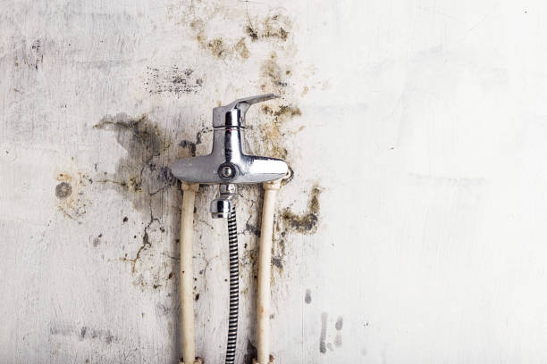 Mold Testing and Removal in West Islip, NY