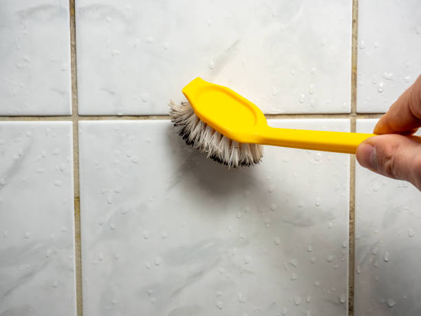 Best Black Mold Removal  in West Islip, NY