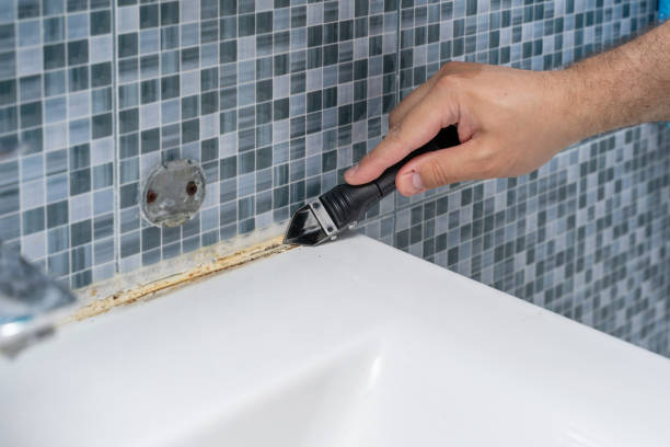 Best Commercial Mold Removal  in West Islip, NY
